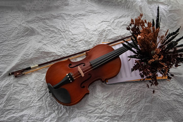 Fototapeta na wymiar Top view of Violin and bow put beside dried flower pot.on background,prepare for practice,blurry light around