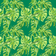 Fototapeta na wymiar Watercolor illustration seamless pattern of tropical leaf monstera. Perfect as background texture, wrapping paper, textile or wallpaper design. Hand drawn
