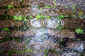 Regen