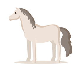 Fototapeta na wymiar White horse standing. Colorful flat vector illustration, isolated on white background.