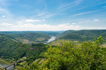 Beautiful, ripening vineyards in the spring season in western Germany, the Moselle river flowing between the hills. Visible railway bridge over the river. 