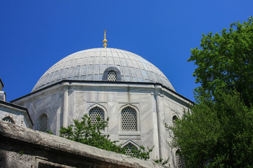 Fototapeta na wymiar the mosque in istanbul turkey