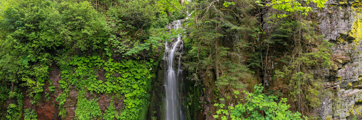 Panorama long time exposure of water flowing on a tiny waterfall surrounded by farn and trees in the forest