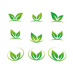 Green leaf plant logo icon vector