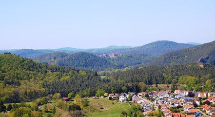 Fototapeta na wymiar Pfälzerwald im Frühling