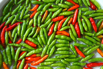 red and green chili.