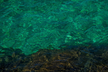 Fototapeta premium green water surface