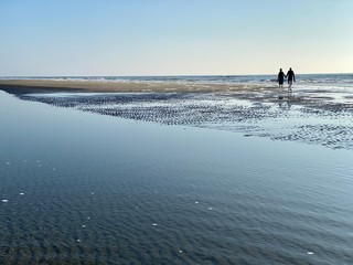 couple walking on the beach hand in hand