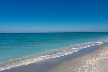 Fototapeta na wymiar Florida Beach 10