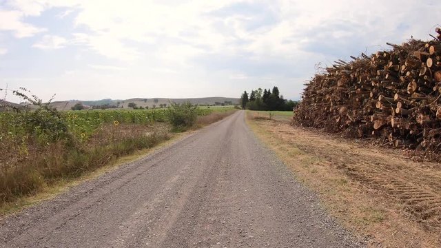huddle of wood on a gravel road through agricultural fields next to Lucignano D'Arbia (Monteroni d'Arbia), province of Siena, Tuscany, Italy