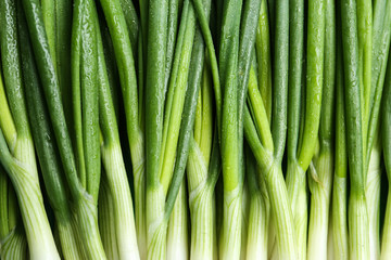 Fresh green spring onions as background, top view