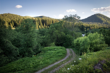 Fototapeta na wymiar road in the mountains earlier in the evening
