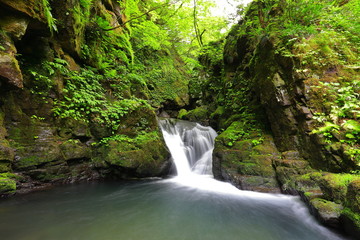 山奥にある小さな滝