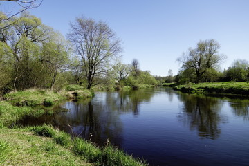 Landscape in May with a shallow river and trees just springing leaves