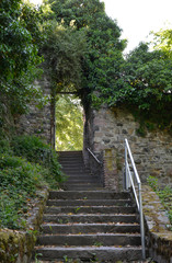 Obraz premium bingen, weg zur burg klopp