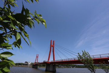 Fototapeta na wymiar 晴れた日の赤い橋