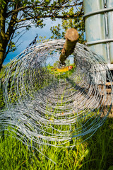 Zwinięta siatka druciana,. © Adam Ćwil