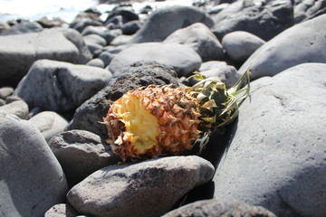 angebissene Ananas