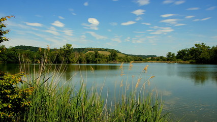 idyllisches Naturschutzgebiet des Aalkistensees mit Schilf beim Kloster Maulbronn