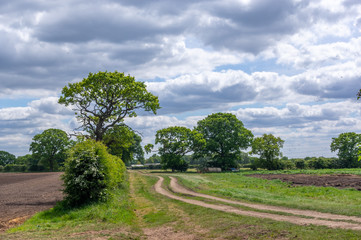 Dirt Track on Farmland