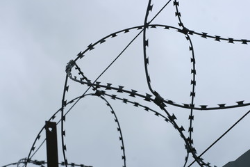 barbed wire fence