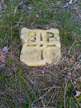 Letters GDP BIP on a stone