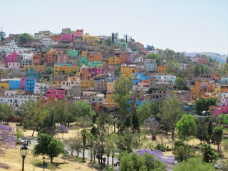 Fototapeta na wymiar Colorful houses of Guanajuato ,Mexico