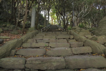 森林の中にある階段