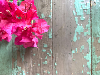 Leaves and Flowers on Wooden Background