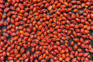 Dried rose hips on a linen background. Dog rose hips are drying. 
