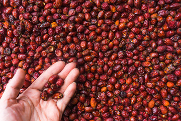 Dried rose hips on a linen background. Dog rose hips are drying. 
palm with a handful of rose hips