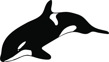 Killer whale doodle. Vector illustration. © Ekaterina
