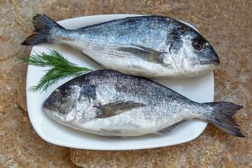 Mediterranean seafood. Two fresh raw fishes of sea bream on a white dish.  Flat lay