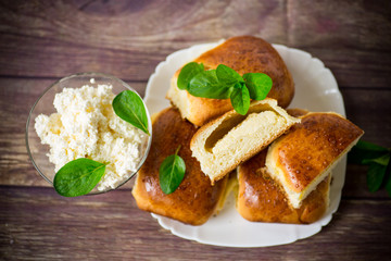sweet homemade baked cakes with cottage cheese