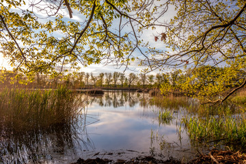 Biosphärenreservat Oberlausitzer Heide- und Teichlandschaft, Teichgebiet Mönau/Boxberg