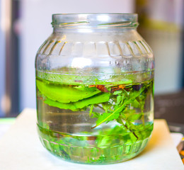 herbs and spices to macerate in alcohol to produce traditional liqueur - sage, rosemary, bay leaf, basil, oregano, mint, thyme, cloves, anise