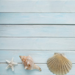 sea ​​shells, anchor, blue cord, white fishing net, starfish, pebbles on a white wooden background with place for text, concept of summer vacation, trip to warm lands, travel