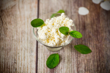 fresh organic homemade cottage cheese in a glass bowl