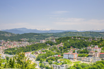 Fototapeta premium sochi city russia mountain town black sea tropical resort aerial panorama landscape view of sport district architecture stadium ocean water marina hilly cityscape background wide wallpaper