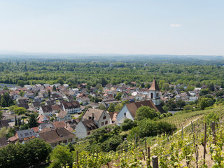 Rheinlandschaft. Blick auf Oberrhein vom Isteiner Klotz, Vorgebirge zwischen den Dörfern Istein und Kleinkems über die Rheinauen 