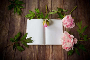 pink blooming peonies on a detailed blank notebook