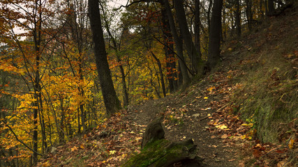 Rezerwat Przyrody Przełomy Pod Książem, Sudety, Sudety Środkowe, Wałbrzych, Polska.