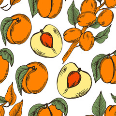 Apricot with Drupe Fruit Similar to a Small Peach and Sliced Pieces Vector Seamless Pattern