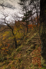 Rezerwat Przyrody Przełomy Pod Książem, Sudety, Sudety Środkowe, Wałbrzych, Polska.