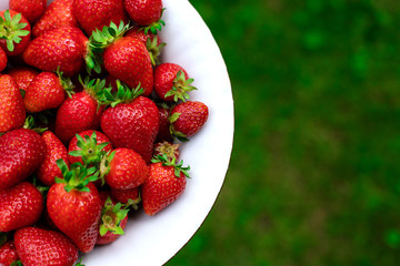 Strawberry. Red ripe juicy berries in a plate on green grass in the garden. Bio. Without chemistry and nitrates