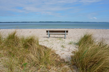 Fototapeta na wymiar Bank am Ostsee Strand bei den Dünen mit Blick aufs Meer