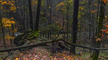 Rezerwat Przyrody Przełomy Pod Książem, Sudety, Sudety Środkowe, Wałbrzych, Polska.