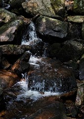 Naklejka na ściany i meble Close-up of rocks and a small waterfall