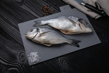 Dorada on a gray board, dark background