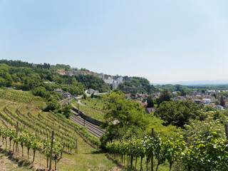 Rheinlandschaft. Blick auf Istein und seine Weinberge mit historische Fachwerkh&auml;user, Pfarrkirche St. Michael, Bahnhof Station unter dem Kalkwerk und Oberrhein